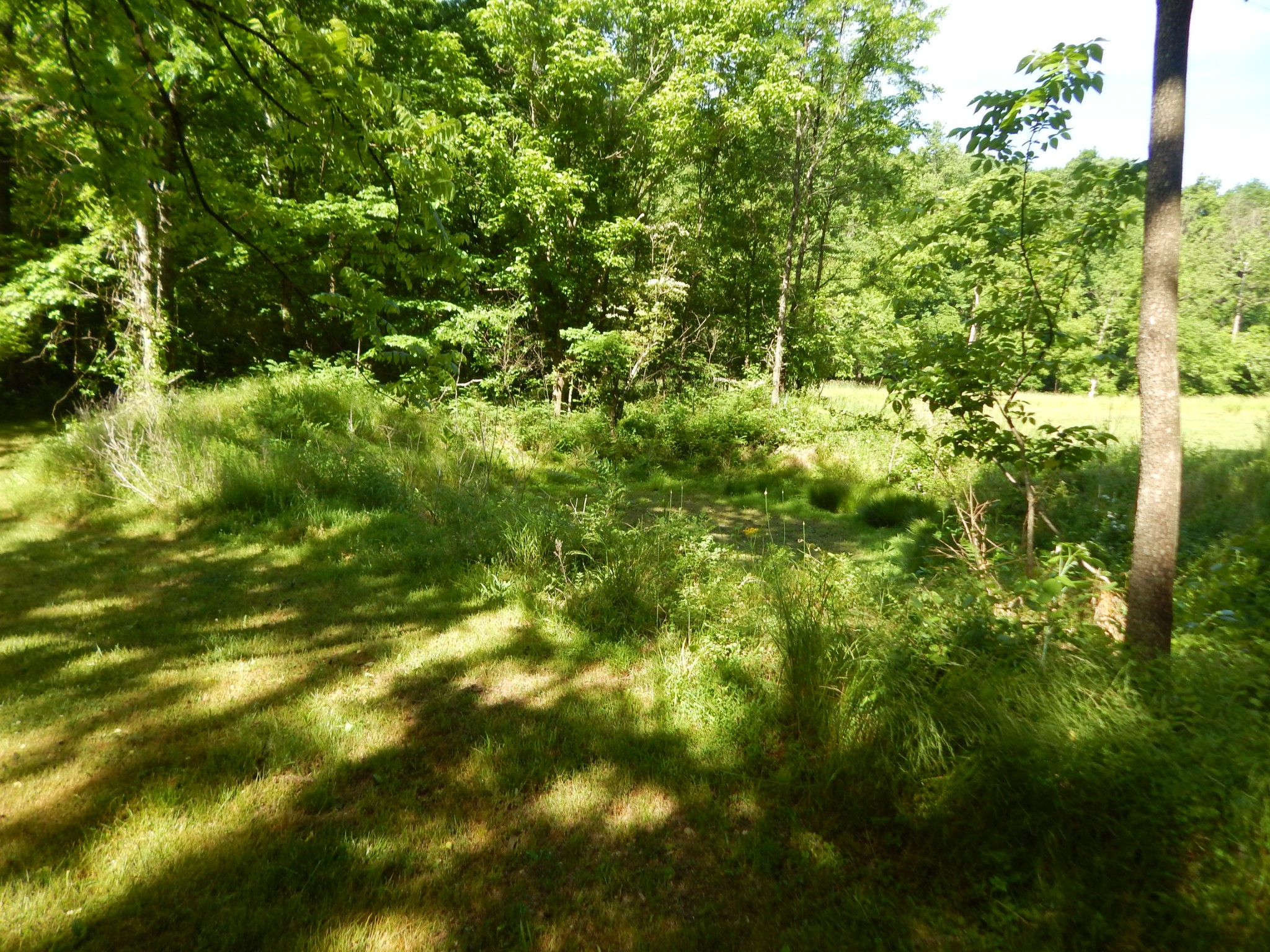 1435 Halliburton Road Vanleer, TN 37181 - Photo 20 of 45 Gallery Image 20