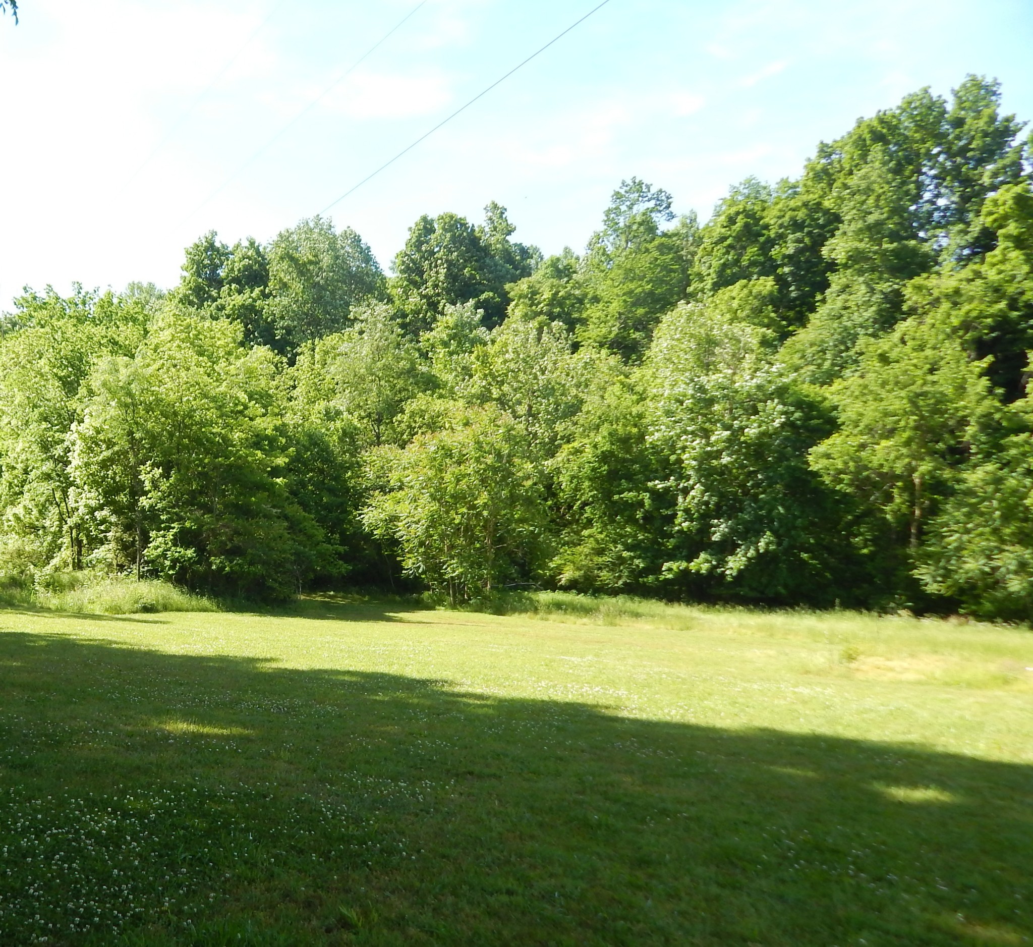 1435 Halliburton Road Vanleer, TN 37181 - Photo 29 of 45 Gallery Image 29