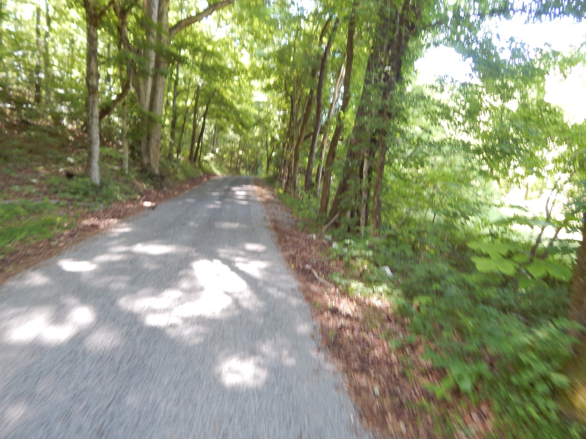 1435 Halliburton Road Vanleer, TN 37181 - Photo 32 of 45 Gallery Image 32