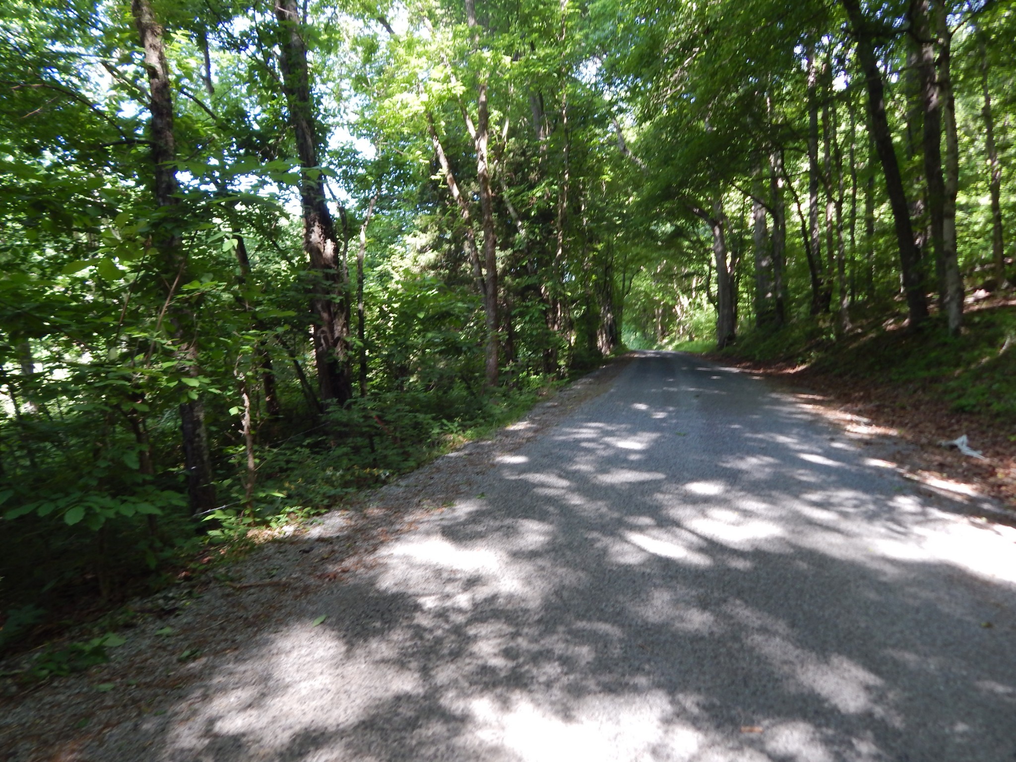 1435 Halliburton Road Vanleer, TN 37181 - Photo 34 of 45 Gallery Image 34