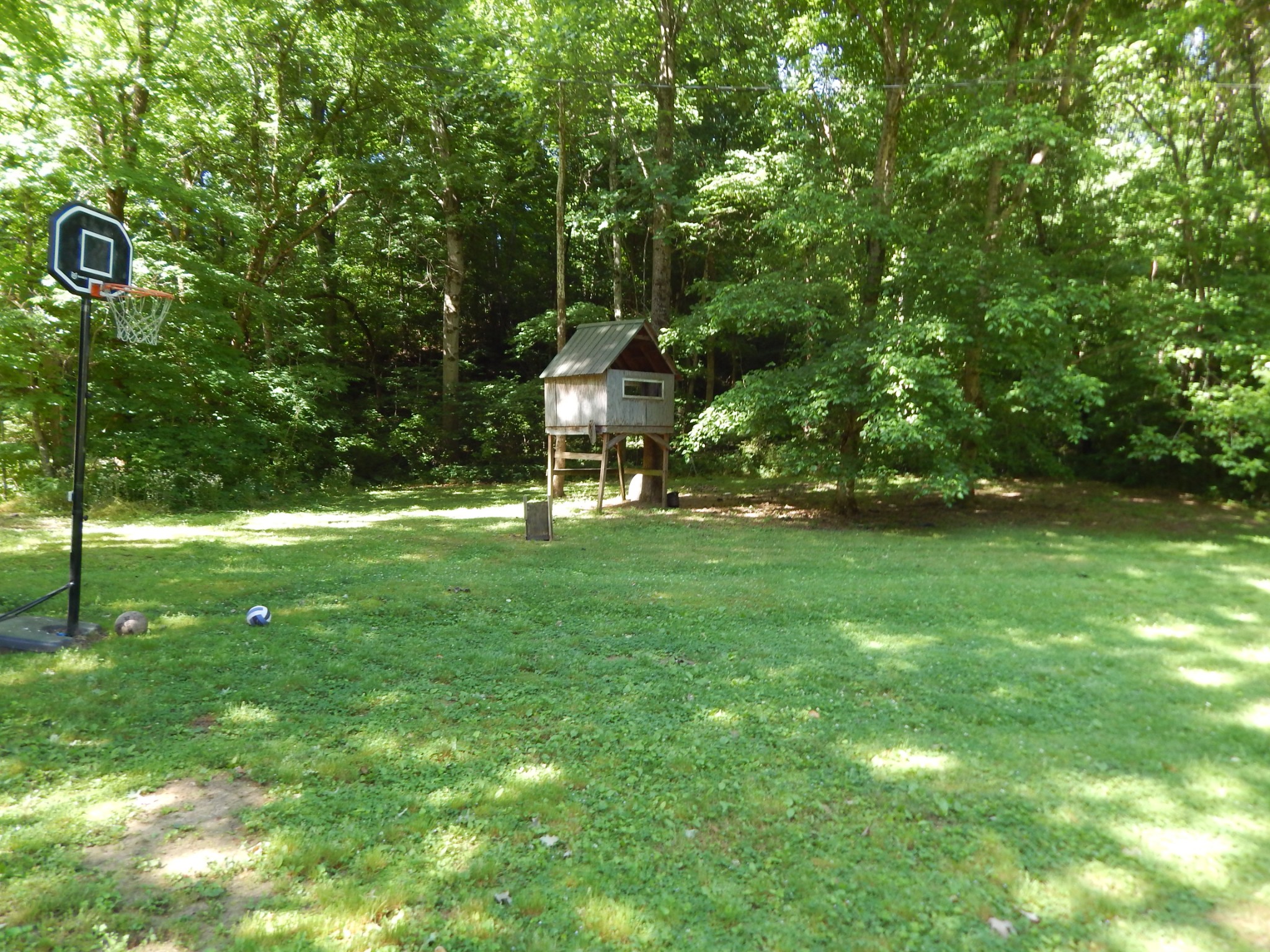 1435 Halliburton Road Vanleer, TN 37181 - Photo 8 of 45 Gallery Image 8