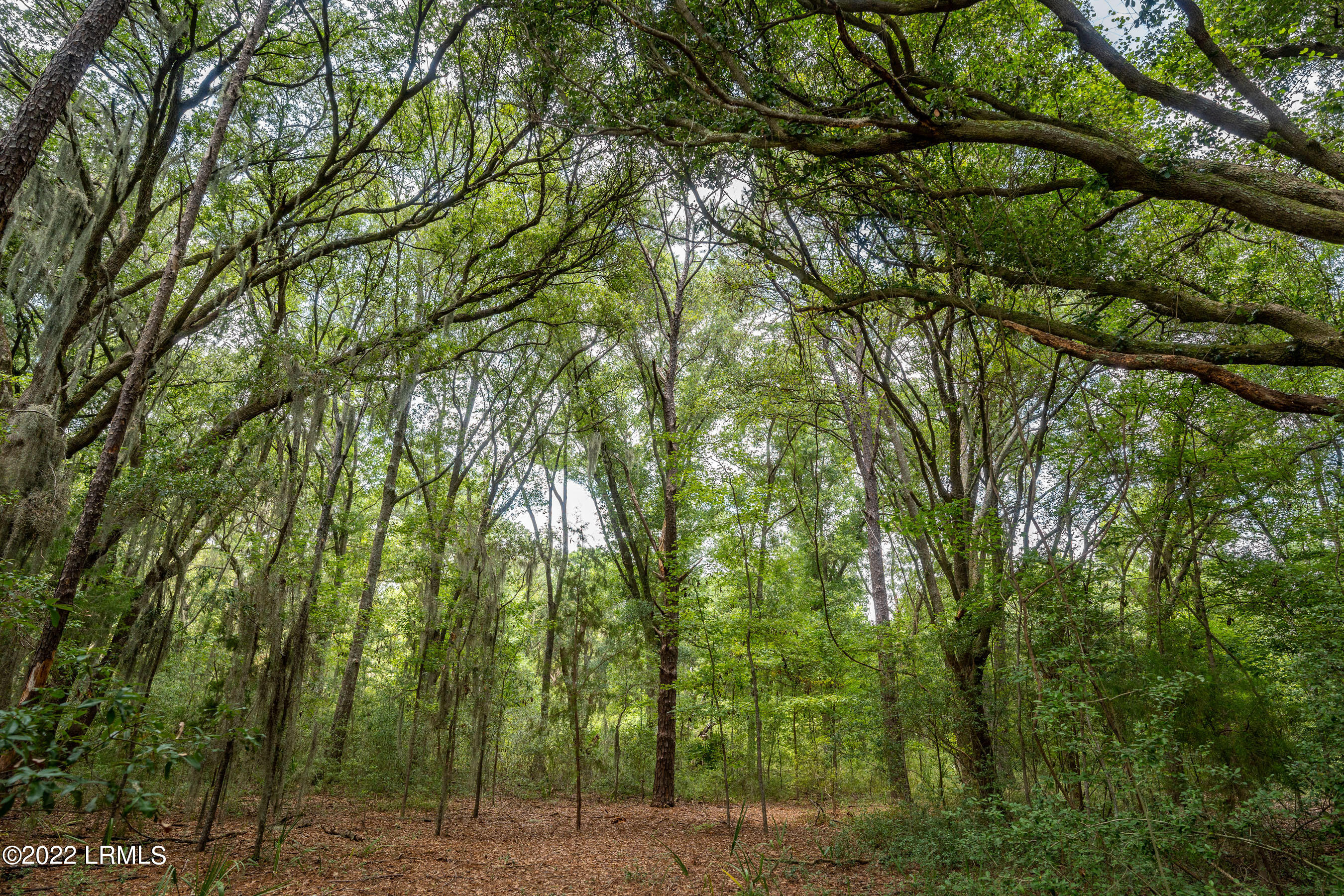 40 Little Capers Road Beaufort, SC 29907 - Photo 3 of 6 DSC06054-1.jpg-FULL