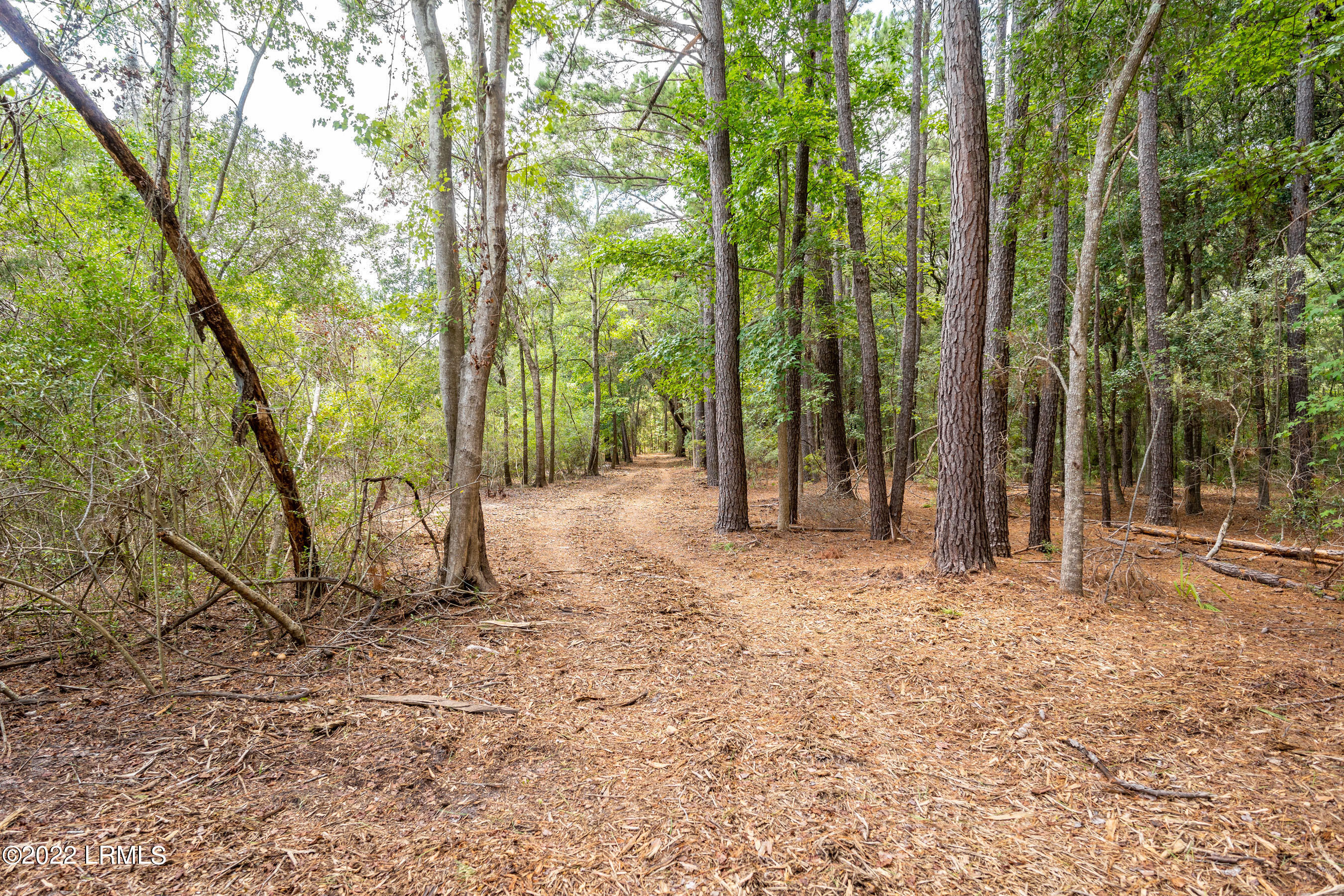 40 Little Capers Road Beaufort, SC 29907 - Photo 4 of 6 DSC06051-1.jpg-FULL