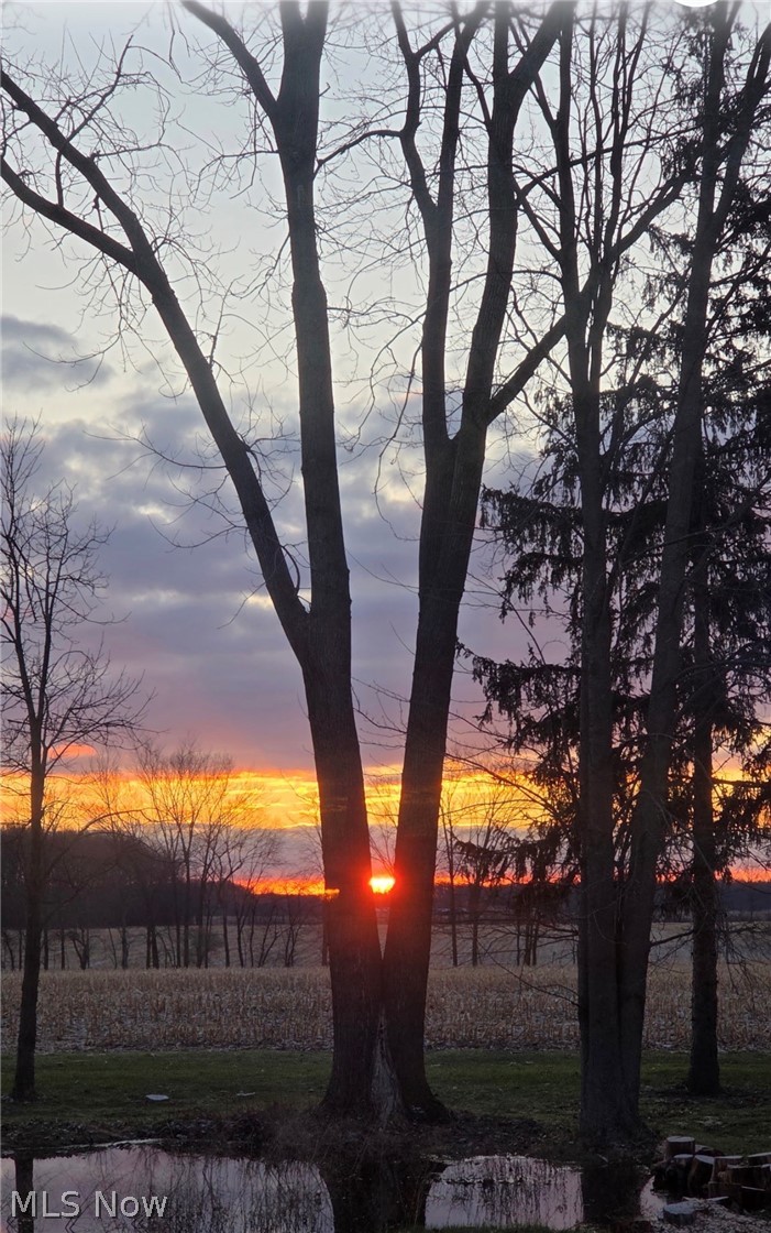 15191 Whitehead Road Lagrange, OH 44050 - Photo 24 of 34 Sunrise from the deck