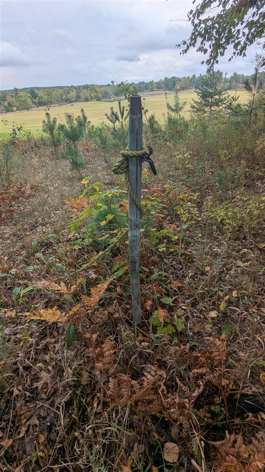 0 East 14 Mile Road Paris, MI 49338 - Photo 13 of 28 Gallery Image 13