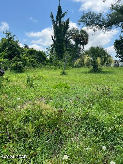 17300 Arisa Road Fountain, FL 32438 - Photo 14 of 19 Gallery Image 14