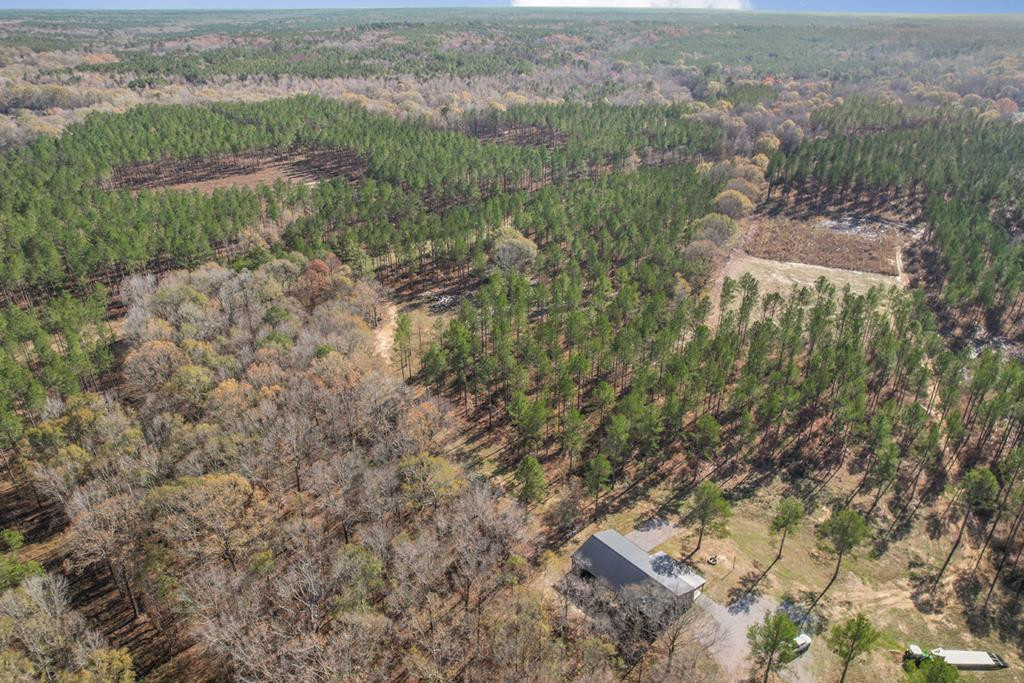 2050 St Paul Road Hazlehurst, MS 39083 - Photo 1 of 36 Main View