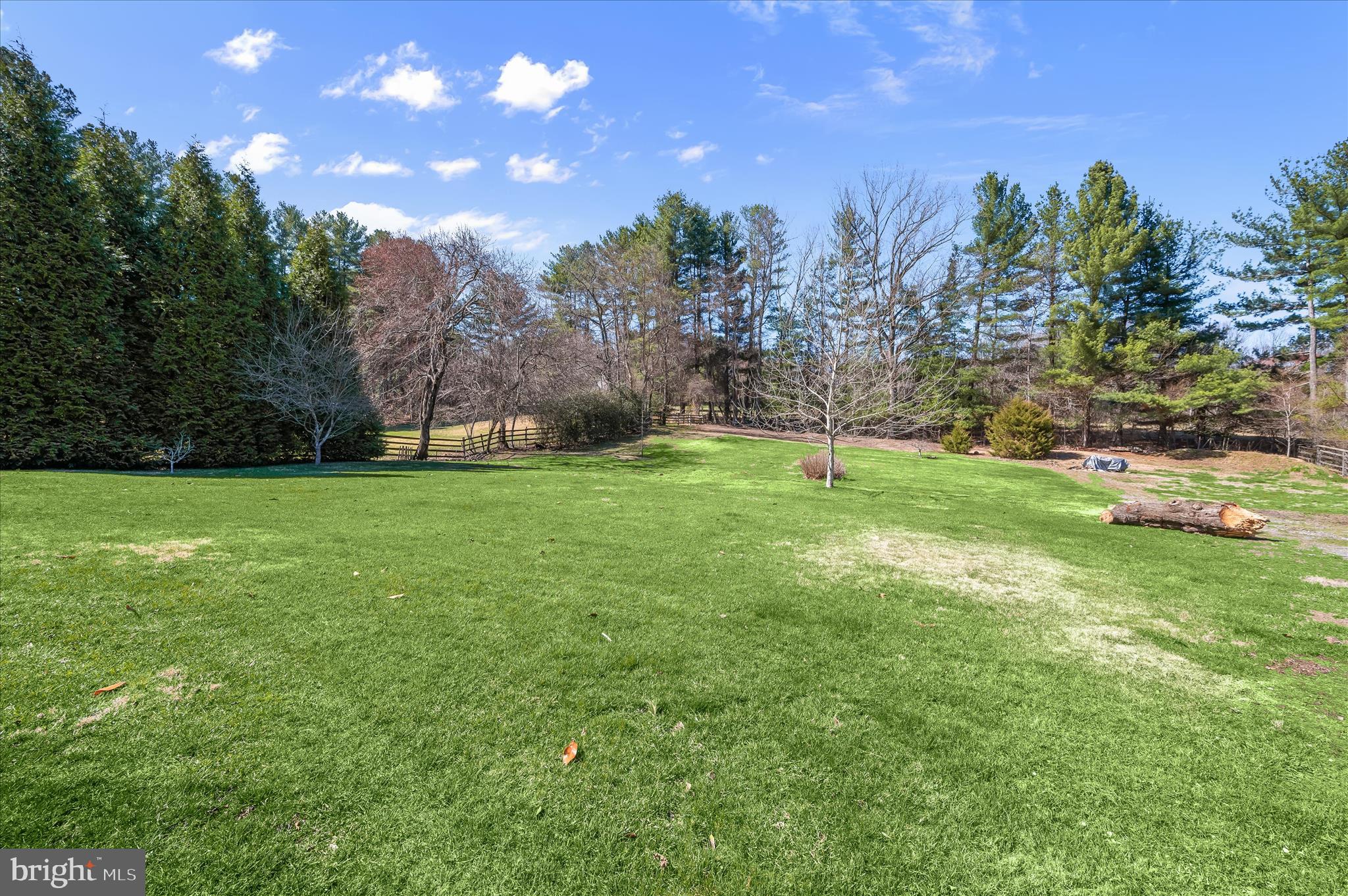 6910 Pindell School Road Clarksville, MD 21029 - Photo 57 of 73 a view of a field with a tree in the background