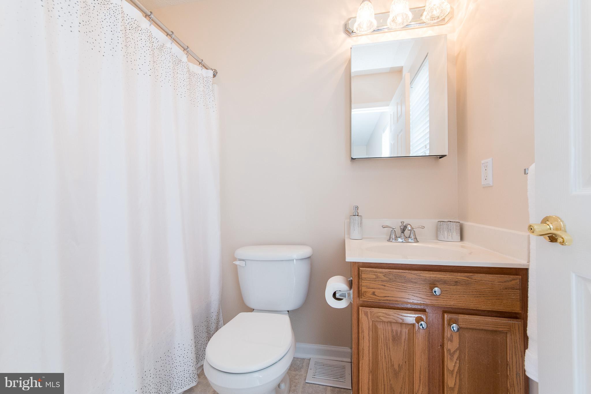7402 Chesapeake Road Baltimore, MD 21220 - Photo 14 of 29 Bath (Master)