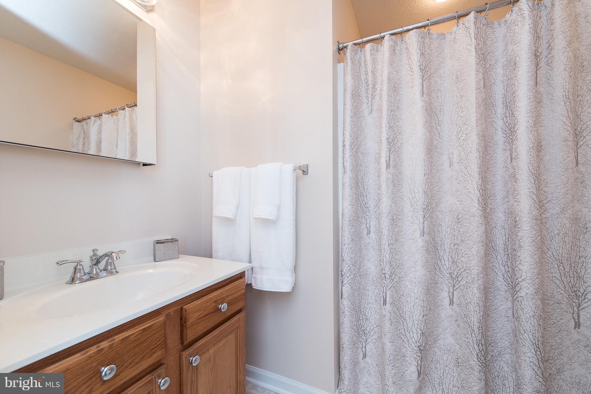 7402 Chesapeake Road Baltimore, MD 21220 - Photo 22 of 29 Bath Lower
