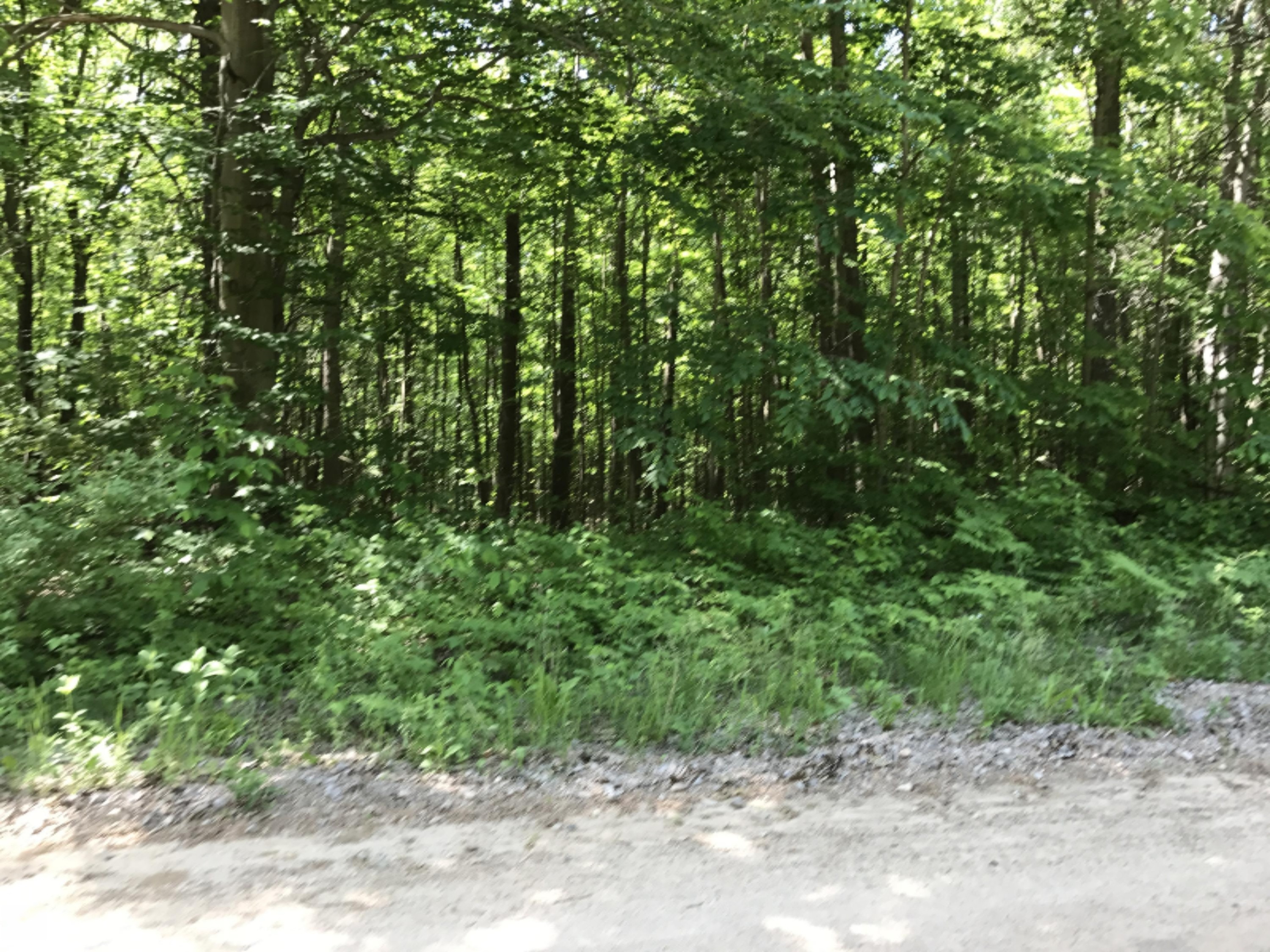 7280 West Weaver Road Shelby, MI 49455 - Photo 1 of 1 Photo
