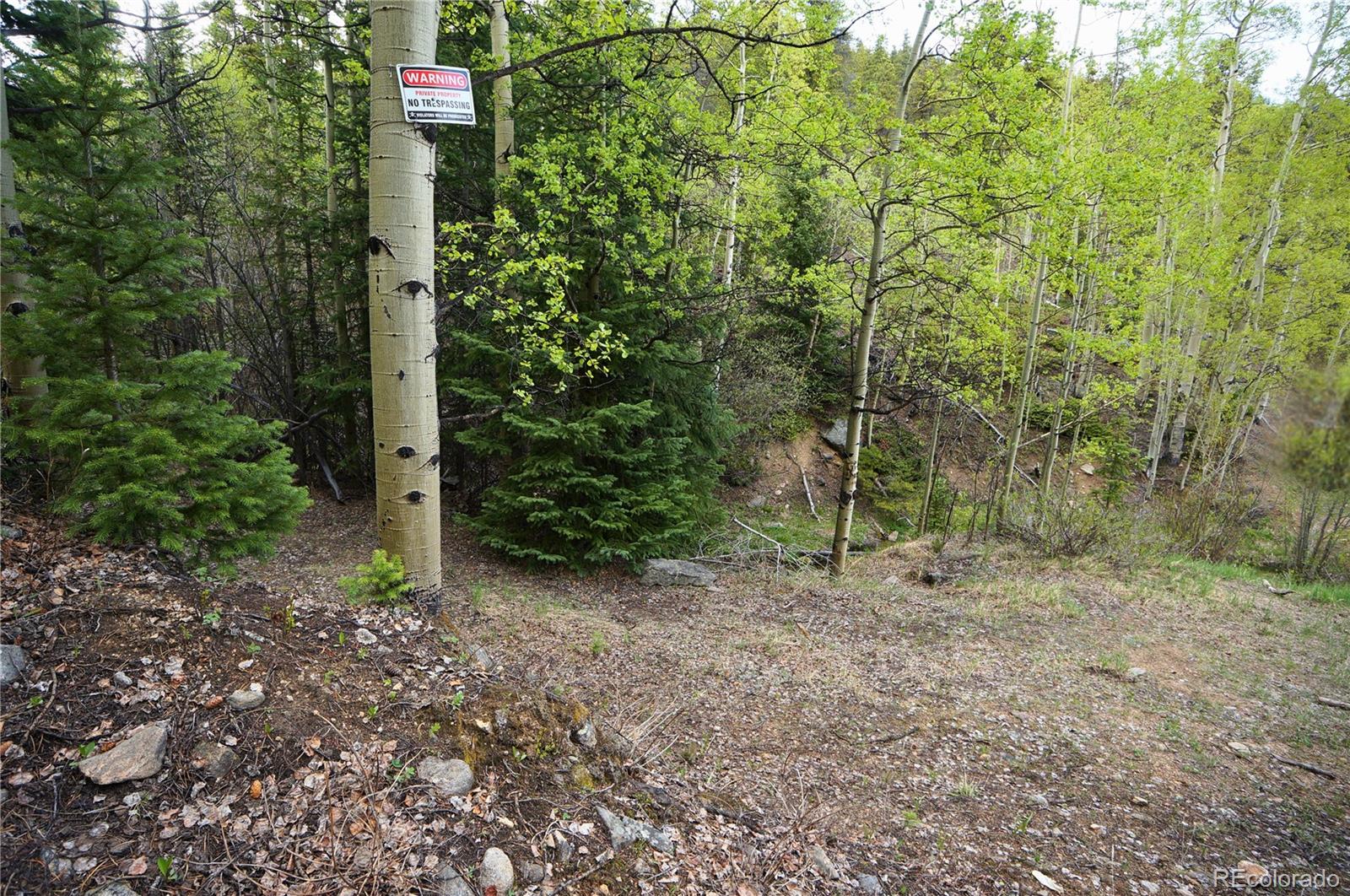 0 Trail Creek Road Idaho Springs, CO 80452 - Photo 5 of 16