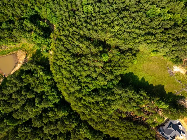 $300,000 | 0 Split Rail Way, Unit LOT 1379, Guild, TN 37340