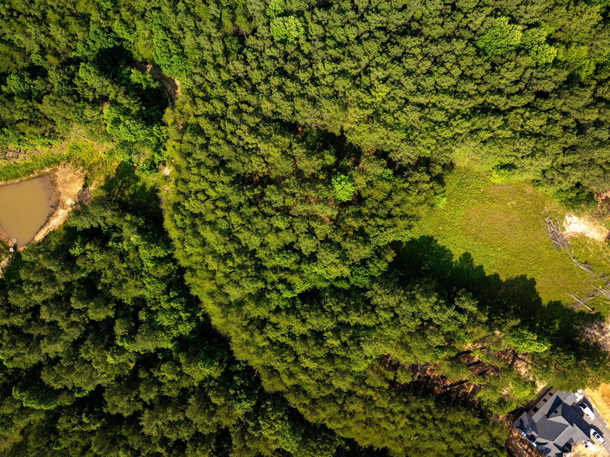 0 Split Rail Way, Unit LOT 1379 Guild, TN 37340 - Photo 8 of 18 8-web-or-mls-DJI_20250604072240_0806_D-1