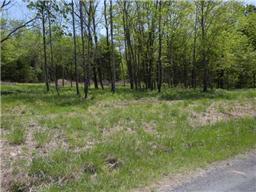 1 Tracy Road Watertown, TN 37184 - Photo 3 of 3 a view of outdoor space with trees all around
