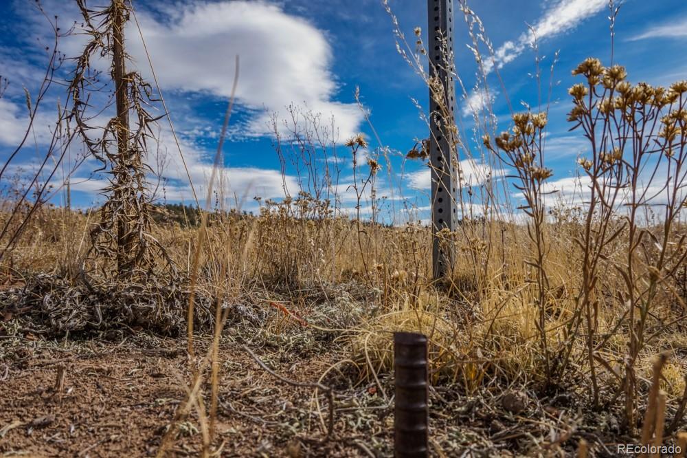 Black Hawk Road Hartsel, CO 80449 - Photo 4 of 10 Gallery Image 4