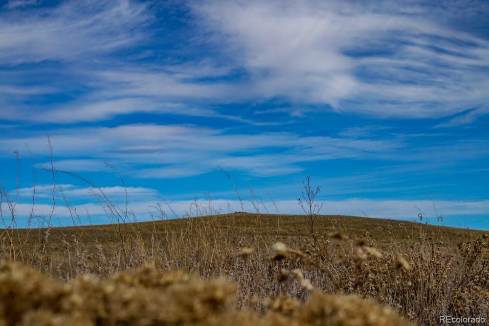 Black Hawk Road Hartsel, CO 80449 - Photo 8 of 10 Gallery Image 8