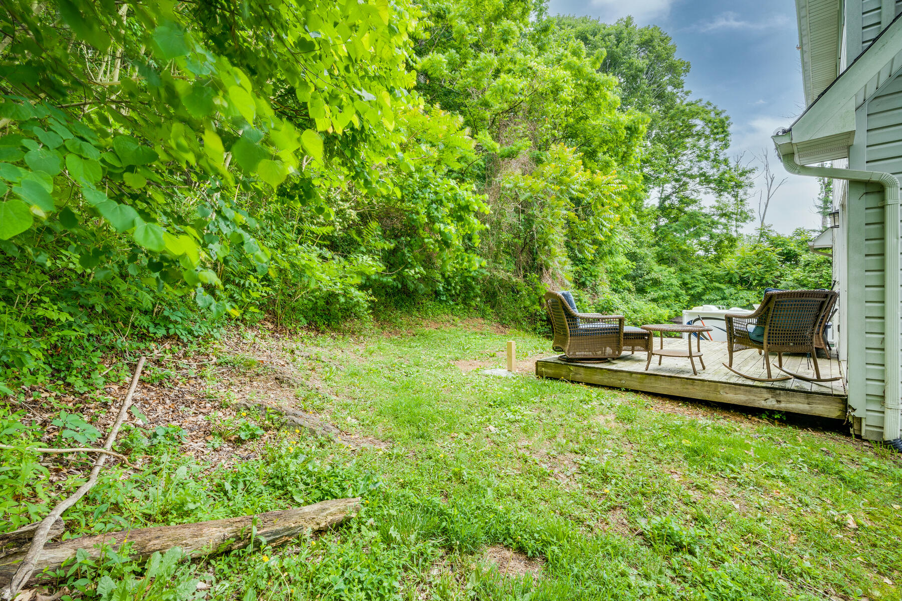 519 Free Hill Road Johnson City, TN 37615 - Photo 15 of 40 033