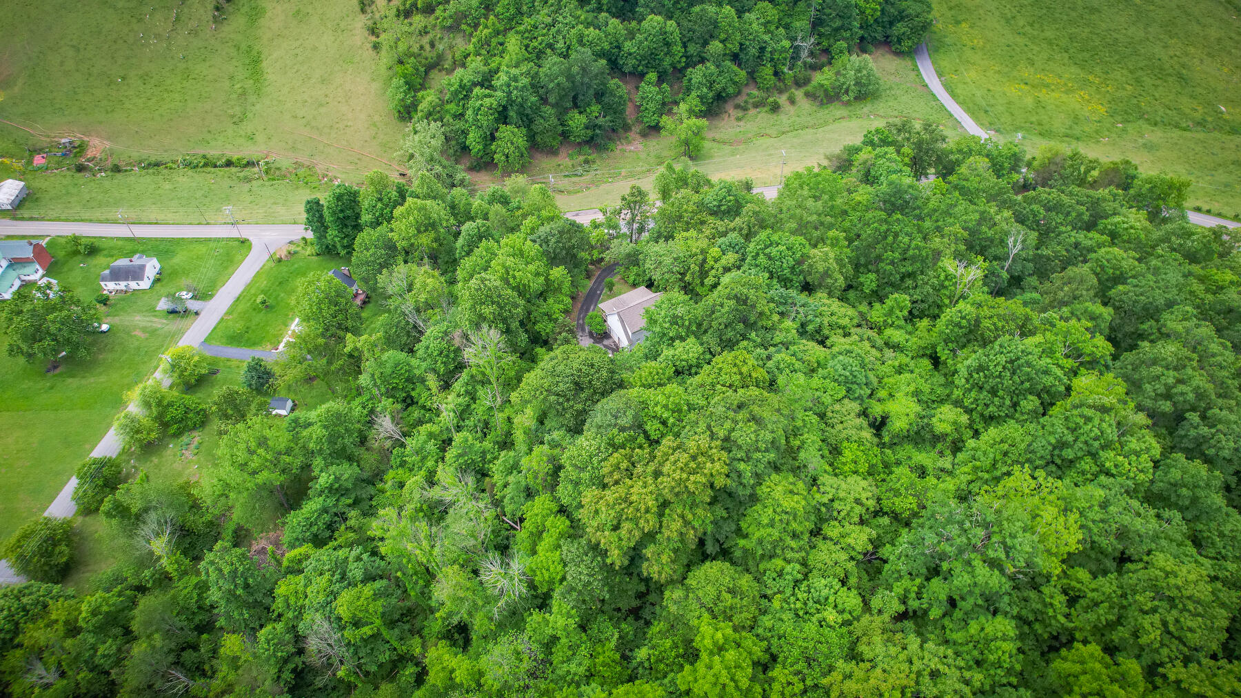 519 Free Hill Road Johnson City, TN 37615 - Photo 5 of 40 105