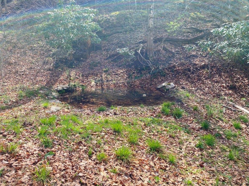 Tbd Sowers Road Northeast Floyd, VA 24091 - Photo 25 of 30 Gallery Image 25