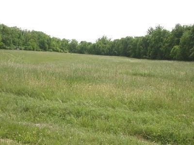 a view of a field with trees in the background