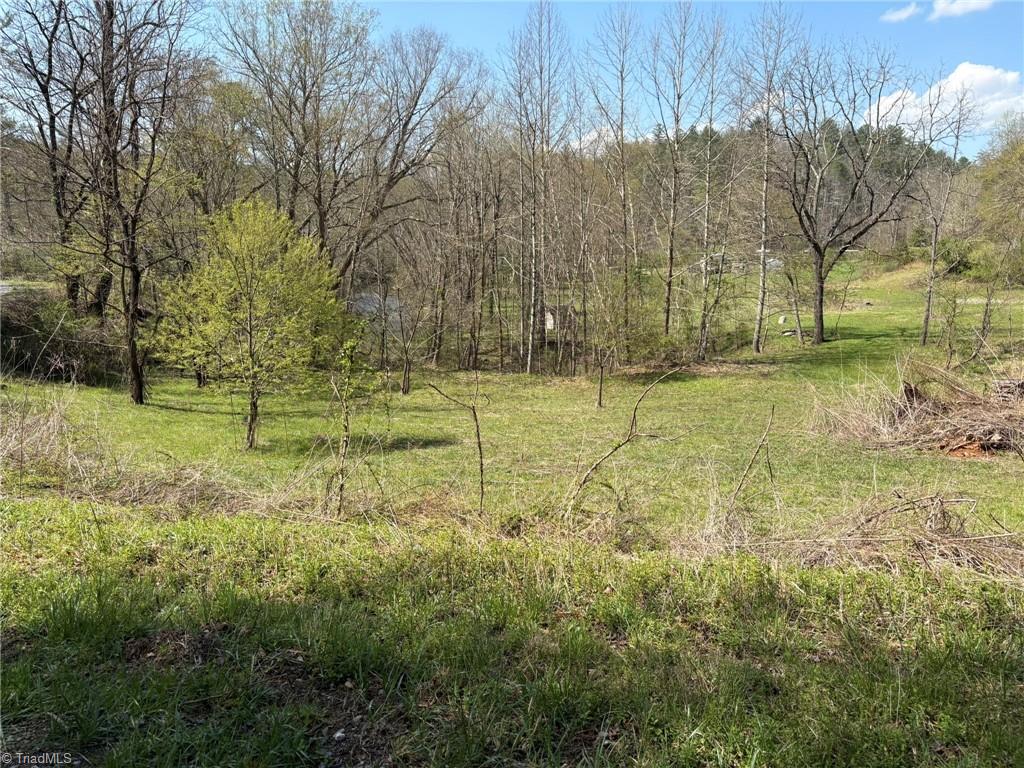 Tbd Cobblestone Lane Purlear, NC 28665 - Photo 14 of 36