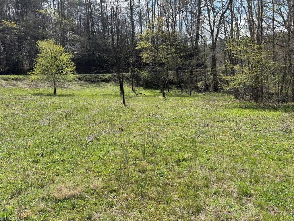 Tbd Cobblestone Lane Purlear, NC 28665 - Photo 16 of 36