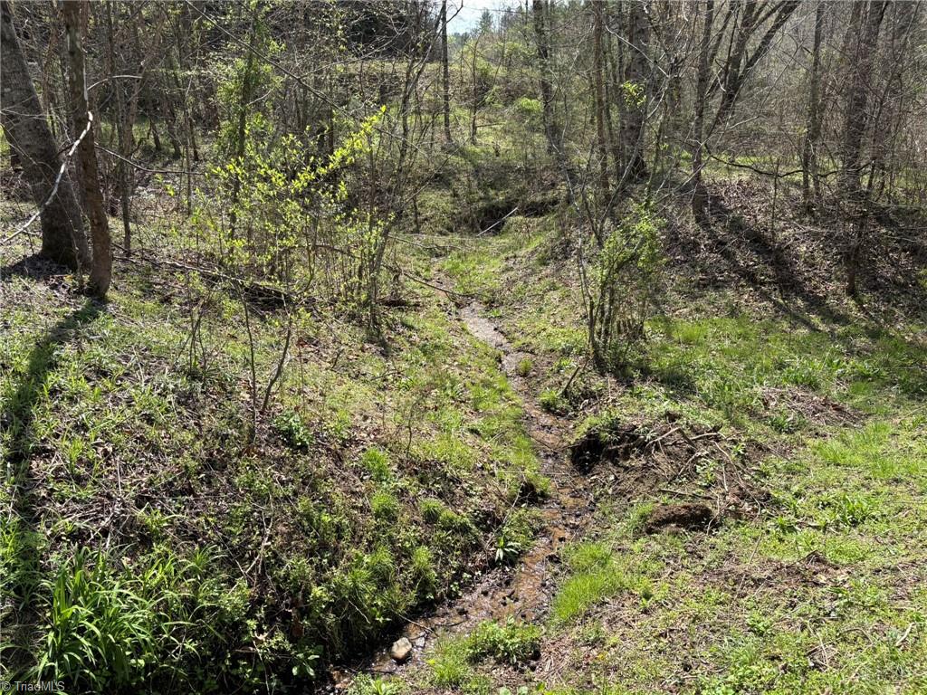 Tbd Cobblestone Lane Purlear, NC 28665 - Photo 20 of 36