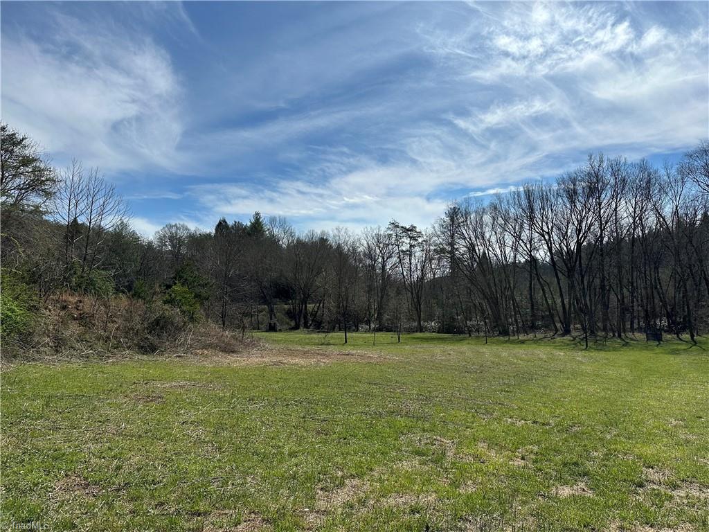 Tbd Cobblestone Lane Purlear, NC 28665 - Photo 2 of 36