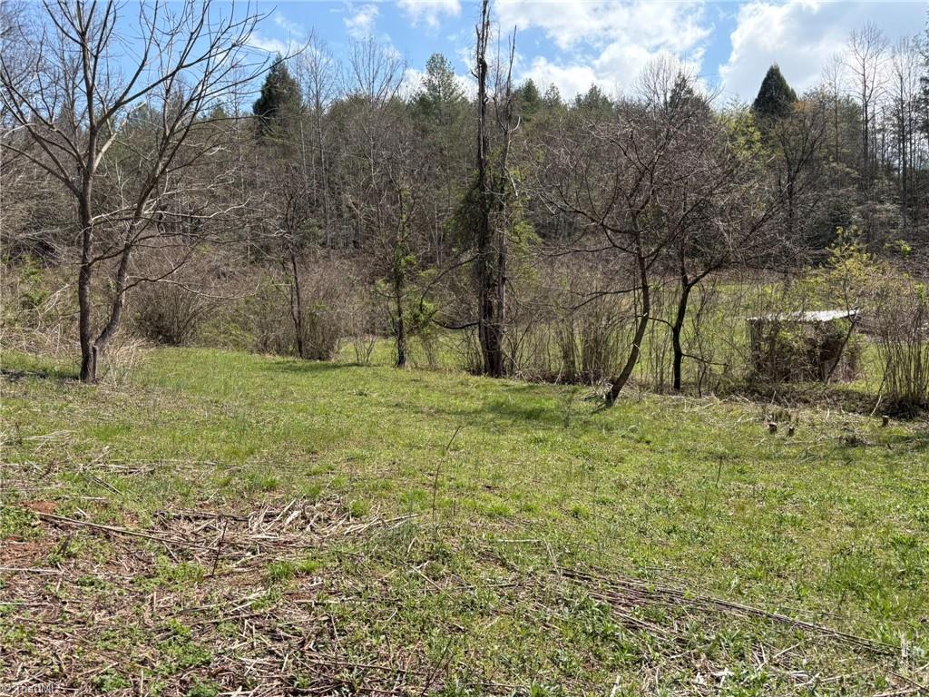 Tbd Cobblestone Lane Purlear, NC 28665 - Photo 24 of 36