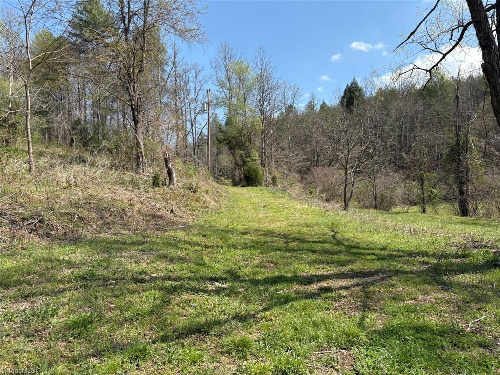 Tbd Cobblestone Lane Purlear, NC 28665 - Photo 26 of 36