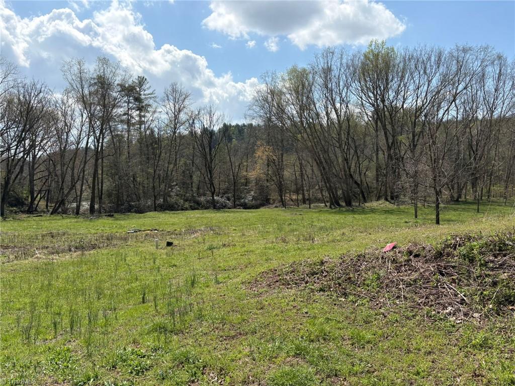 Tbd Cobblestone Lane Purlear, NC 28665 - Photo 28 of 36