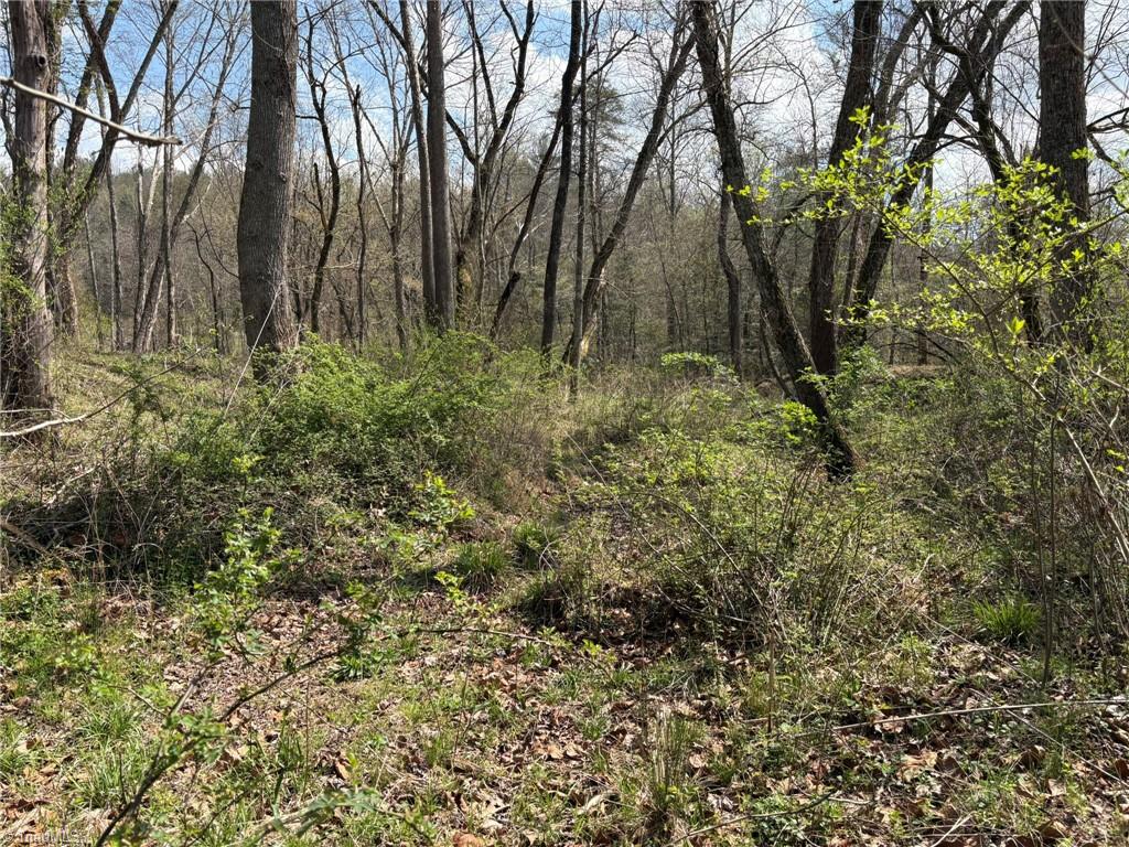 Tbd Cobblestone Lane Purlear, NC 28665 - Photo 5 of 36