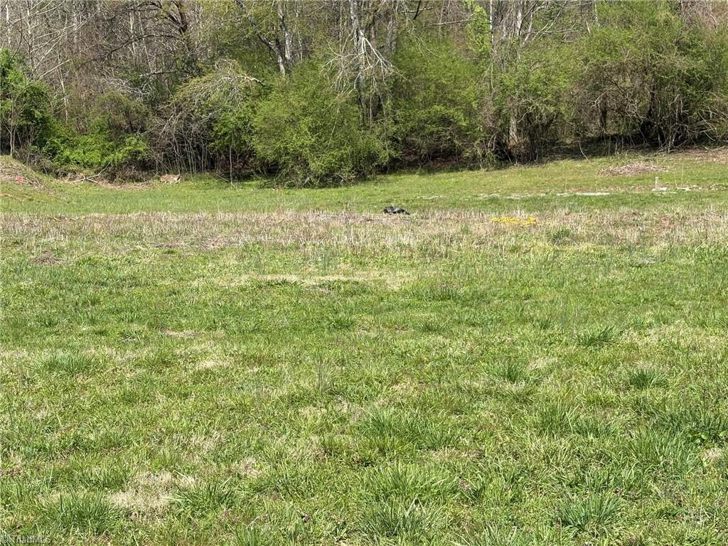 Tbd Cobblestone Lane Purlear, NC 28665 - Photo 7 of 36