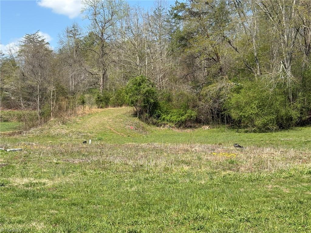 Tbd Cobblestone Lane Purlear, NC 28665 - Photo 8 of 36