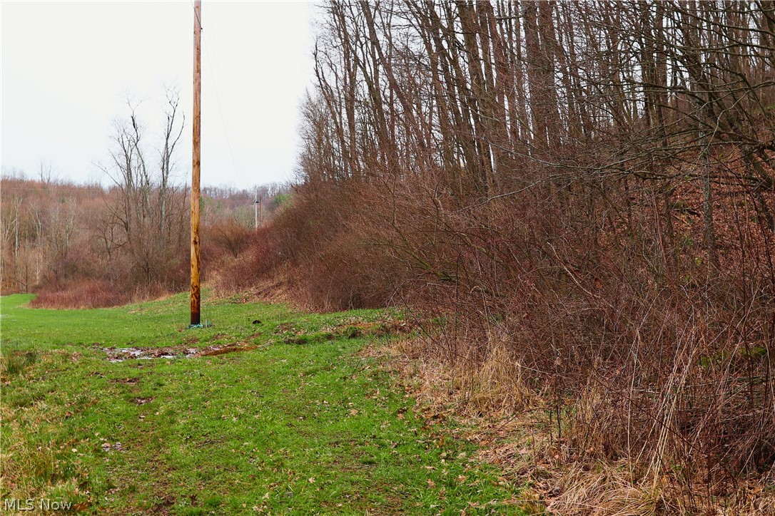 6030 Atkinson Creek Road Southeast Tippecanoe, OH 44699 - Photo 21 of 27