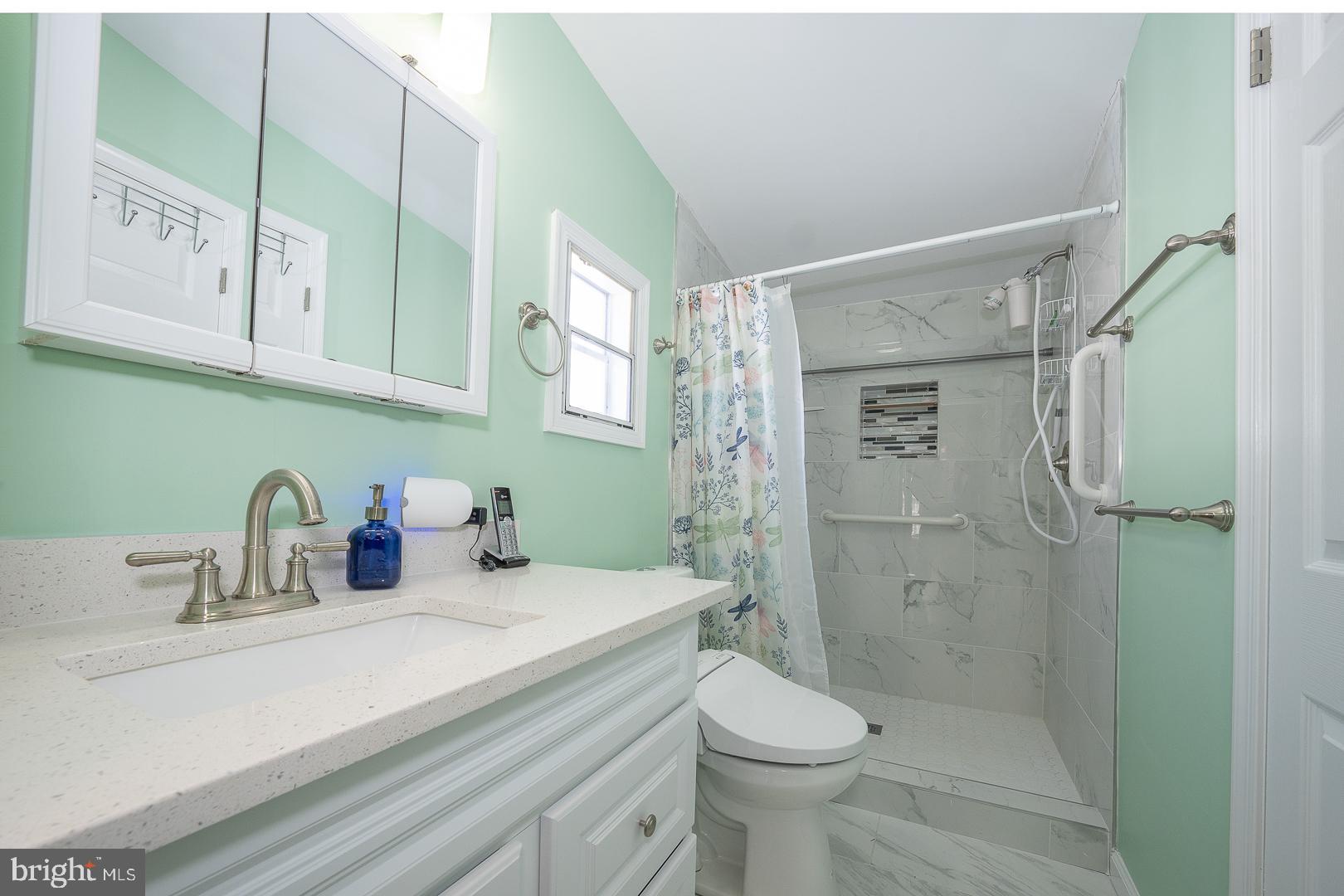 232 Red Toad Road North East, MD 21901 - Photo 42 of 74