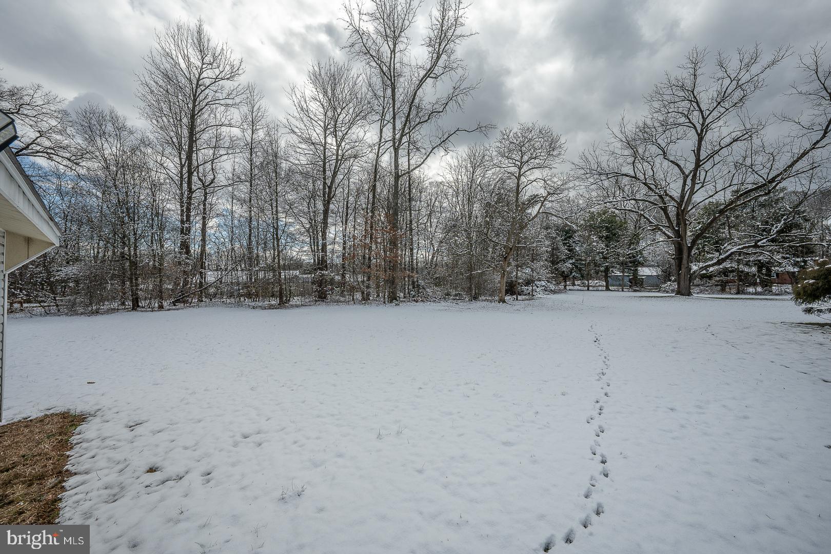 232 Red Toad Road North East, MD 21901 - Photo 55 of 74