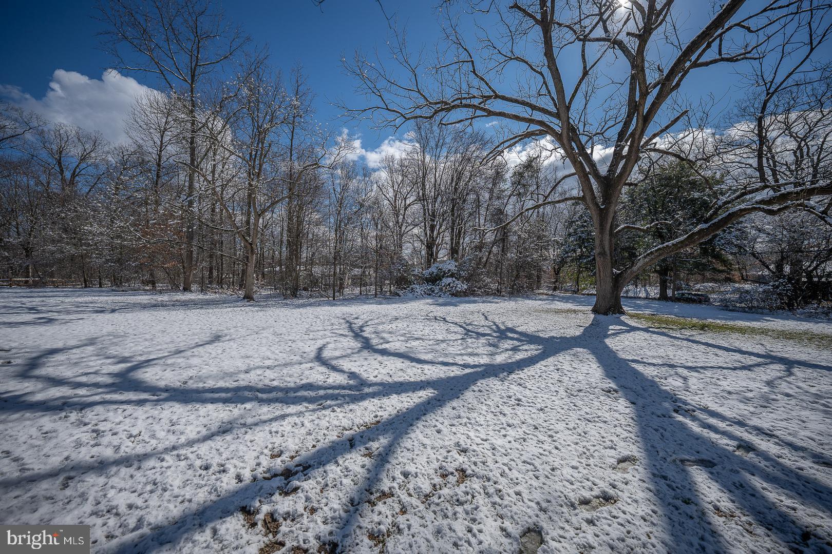 232 Red Toad Road North East, MD 21901 - Photo 64 of 74