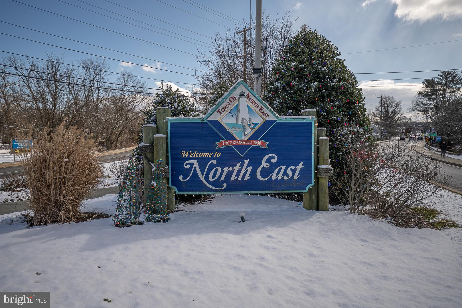 232 Red Toad Road North East, MD 21901 - Photo 72 of 74