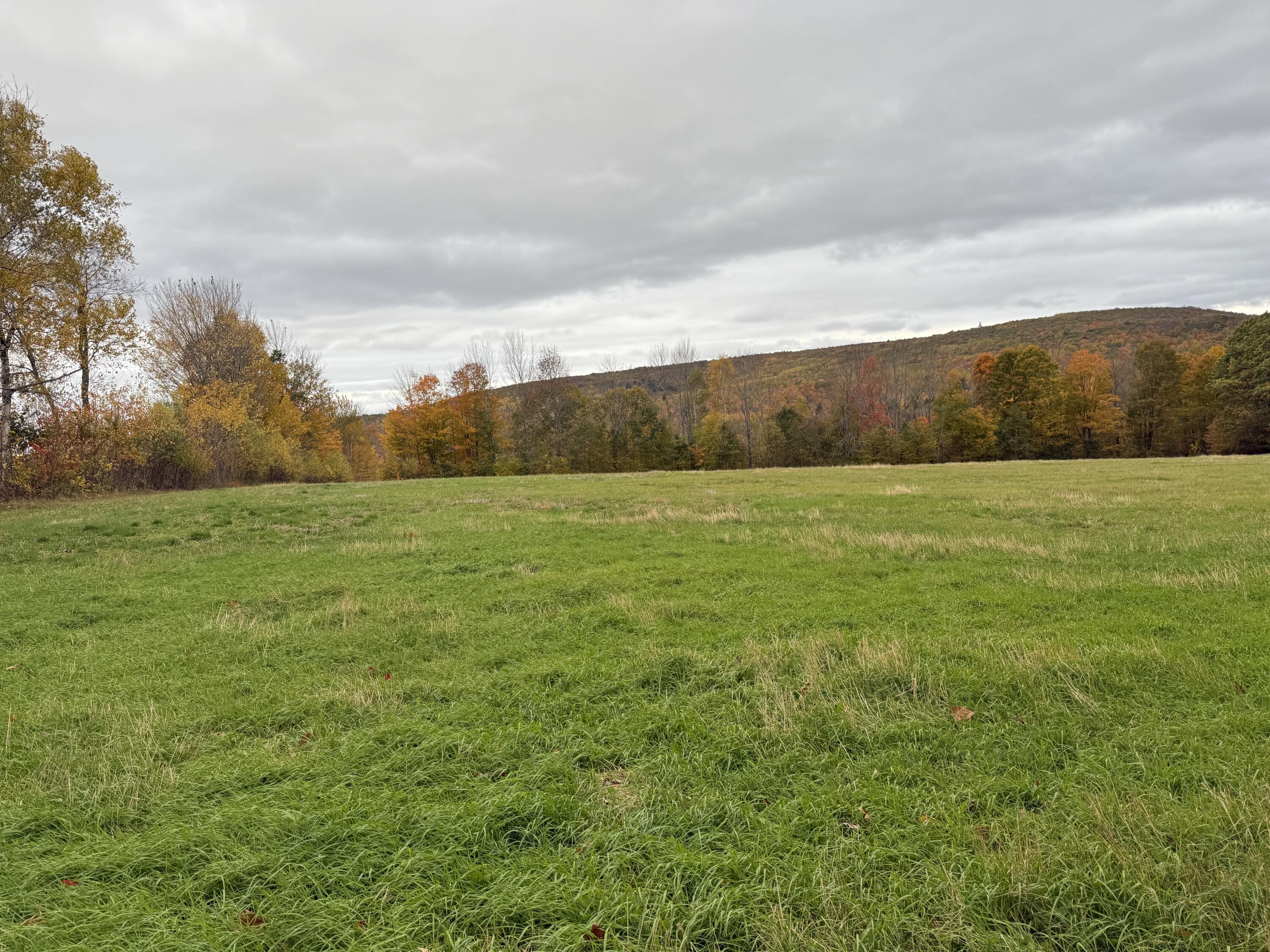 119 Bryant Road St. Albans, ME 04971 - Photo 1 of 10 IMG_1271