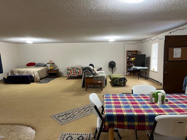 205 Melvin Street Brady, TX 76825 - Photo 13 of 29