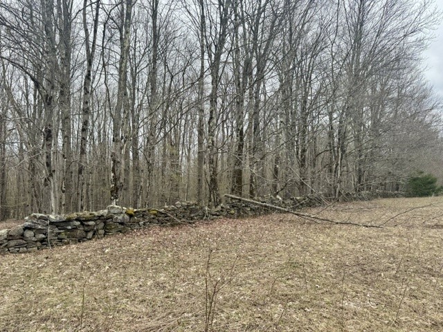 Lot 4 Shaver Hill Road Meridale, NY 13806 - Photo 40 of 44