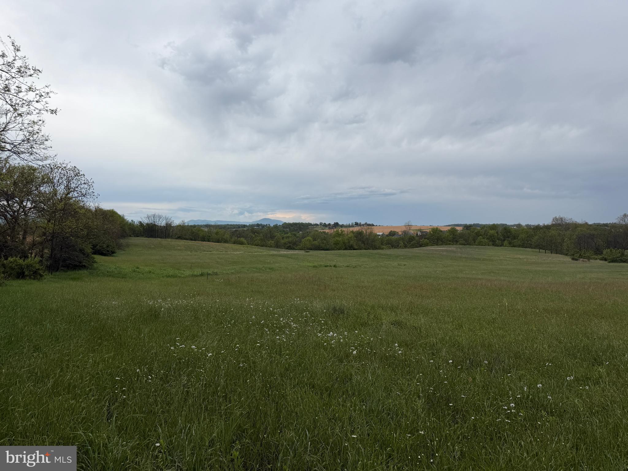 12591 Shimpstown Road Mercersburg, PA 17236 - Photo 52 of 147