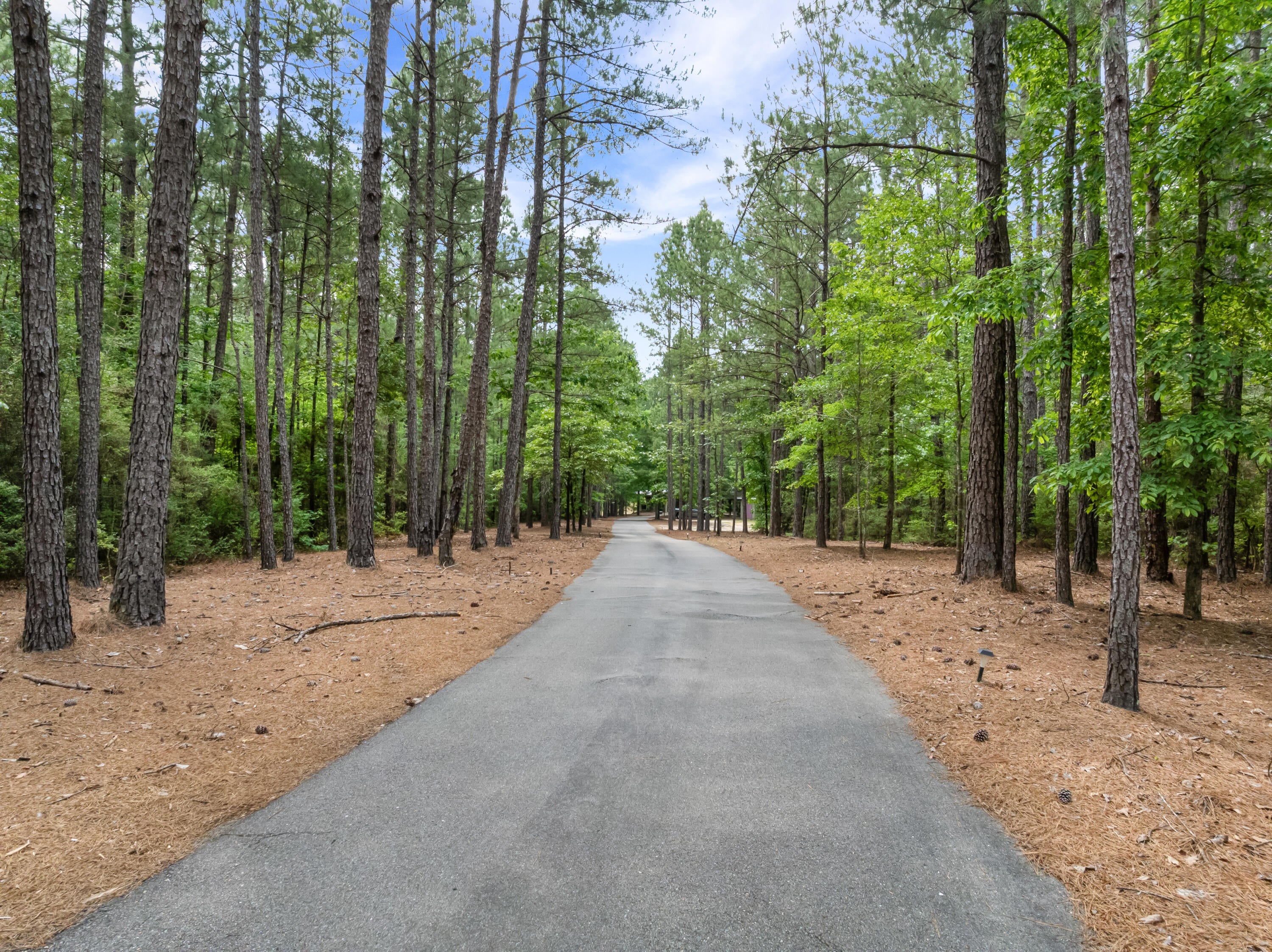253 Trussel Road Petal, MS 39465 - Photo 5 of 91 Gallery Image 5