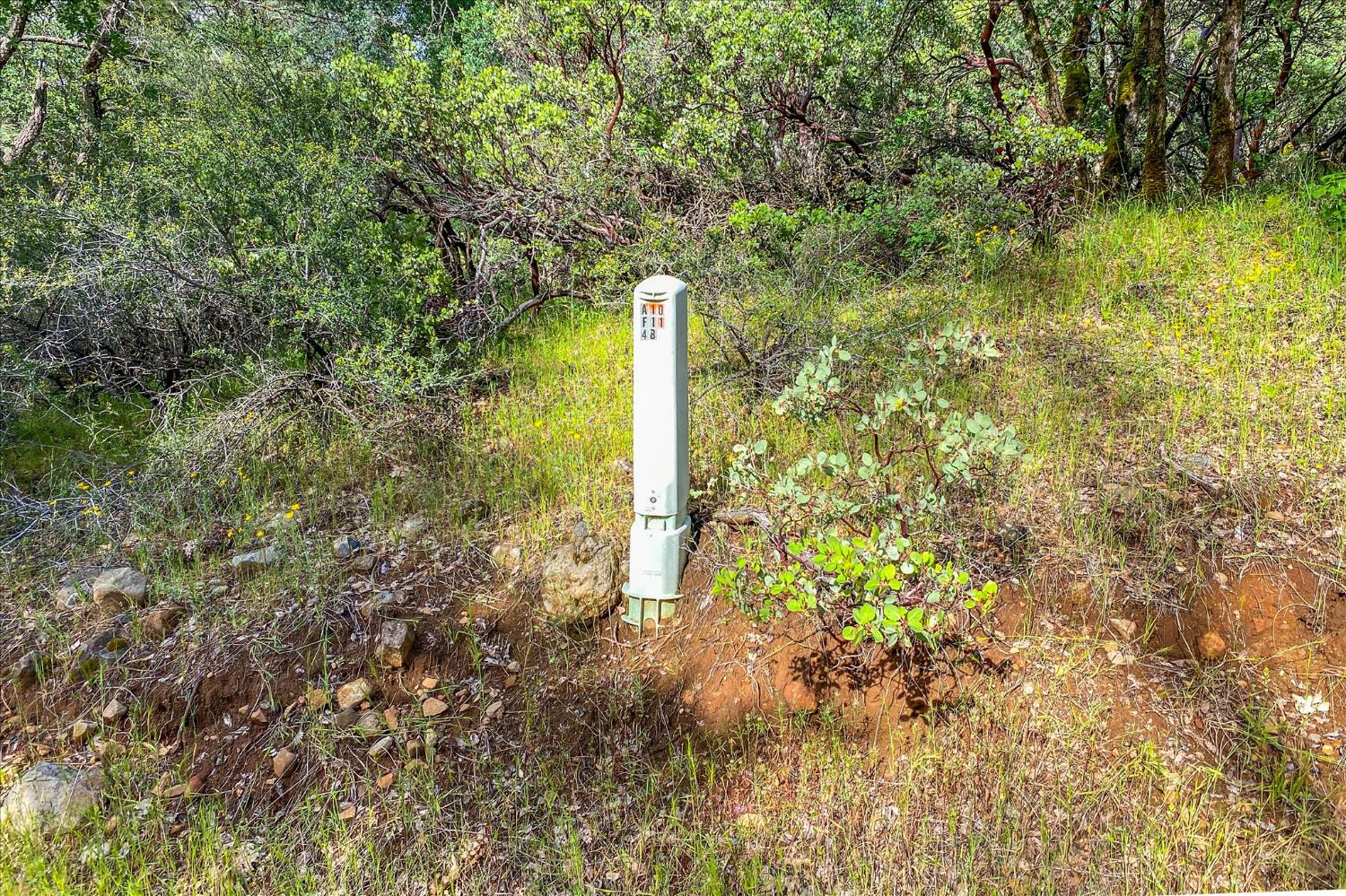 0 Donkey Mine Road Oak Run, CA 96069 - Photo 11 of 19 Gallery Image 11