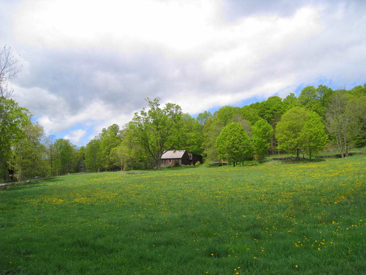4271 Sweet Pond Road Guilford, VT 05301 - Photo 3 of 20