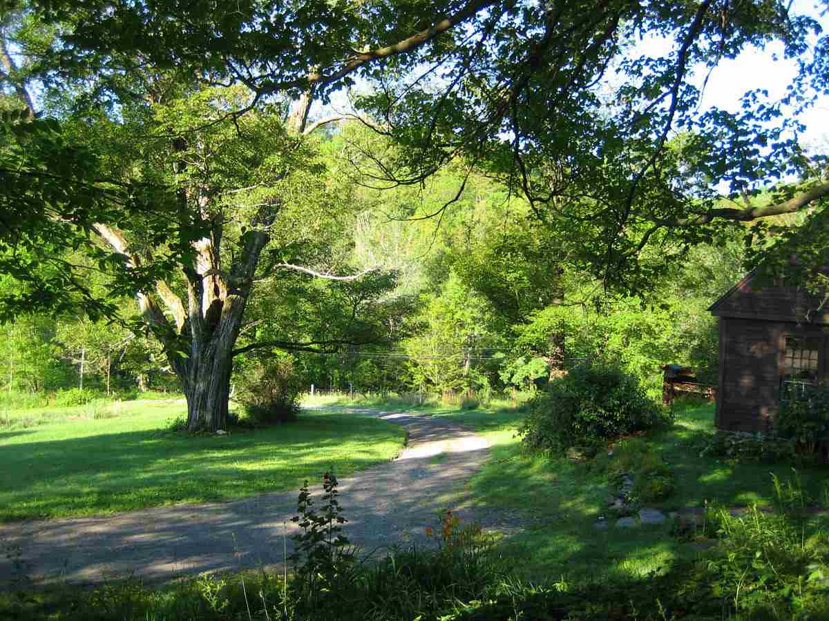 4271 Sweet Pond Road Guilford, VT 05301 - Photo 4 of 20