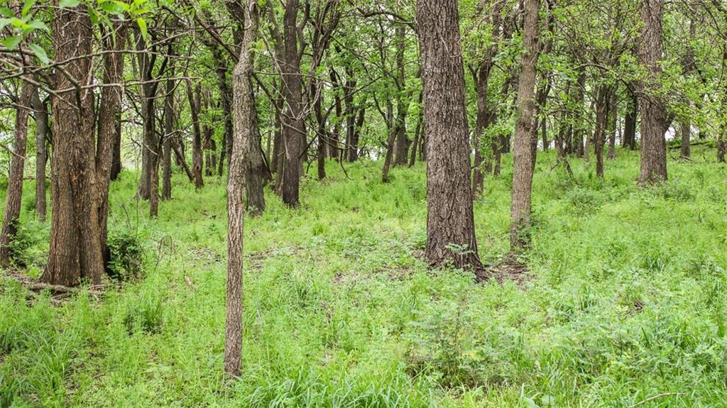 East Victory Road Bronaugh, MO 64728 - Photo 15 of 49