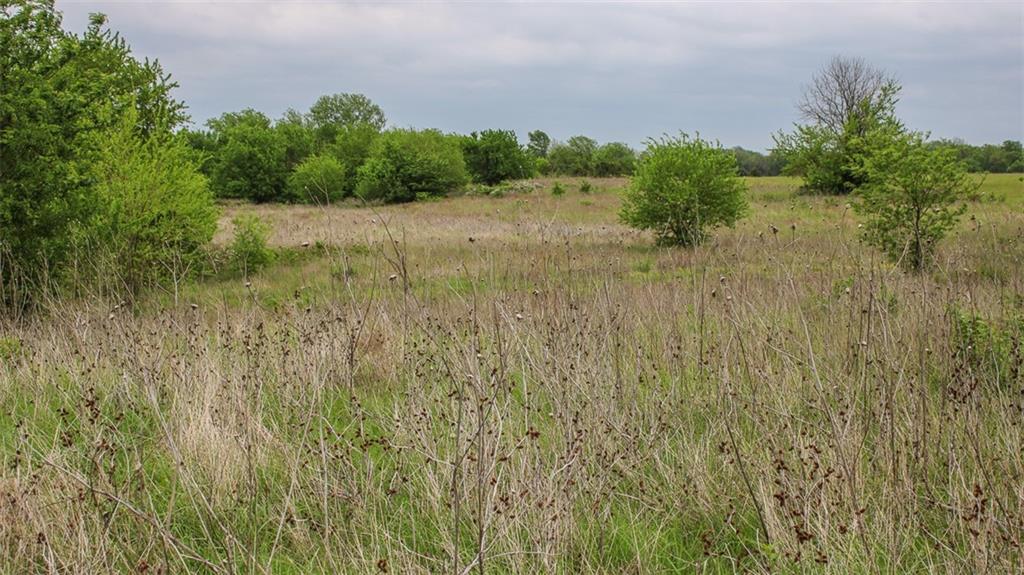 East Victory Road Bronaugh, MO 64728 - Photo 20 of 49